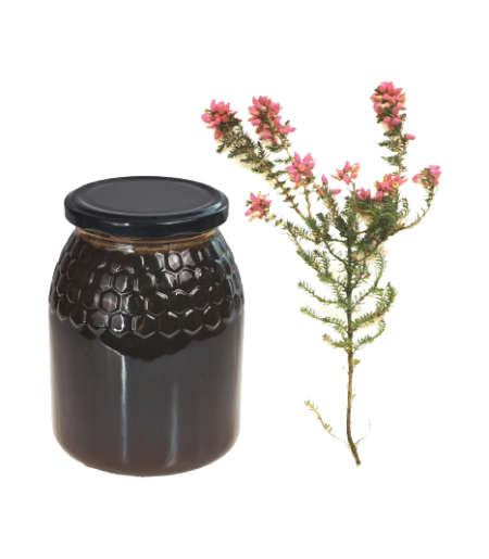 MIEL DE LA MONTAÑA DEL BREZO